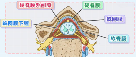 邵陽創(chuàng)傷骨科,邵陽風濕病區(qū),邵陽骨質(zhì)增生,邵陽關節(jié)病區(qū),邵陽頸椎病區(qū)